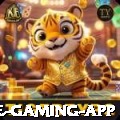 bet Elite Gaming App